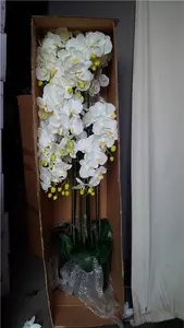 Huisdecoratie Winkels Witte Orquideeën Phalaenopsis Orchidee Plant Phalaenopsis Orchidee Fleurs Artificielles