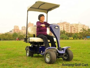 <strong>Single</strong> <strong>Seater</strong> <strong>Electric</strong> <strong>Cars</strong>, Mini Golf Carts with CE Certificate and High Efficiency Motor - Product Image 6