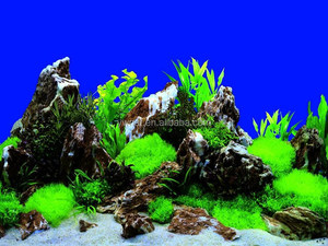 プラスチック風景滝水族館背景水族館絵画写真 - Product Image 6