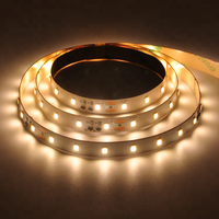 Bande lumineuse à courant constant à une seule voie de 30 m Blanc chaud 2700K 4000K 4000K 6000K 48V DC 2835 SMD Bande LED