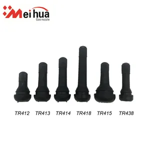 High Quality Tr412 Tr413 Tr414 TR415 TR418 TR438Tire Valve Auto Parts