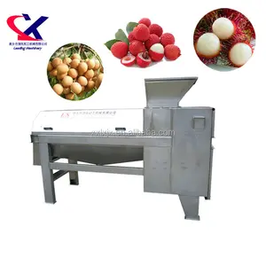Taze Litchi (lychee) Meyve 2-3 t/h Otomatik Litchi Suyu Yapma Makinesi Lychee soyma ve çukurlaşma makinesi