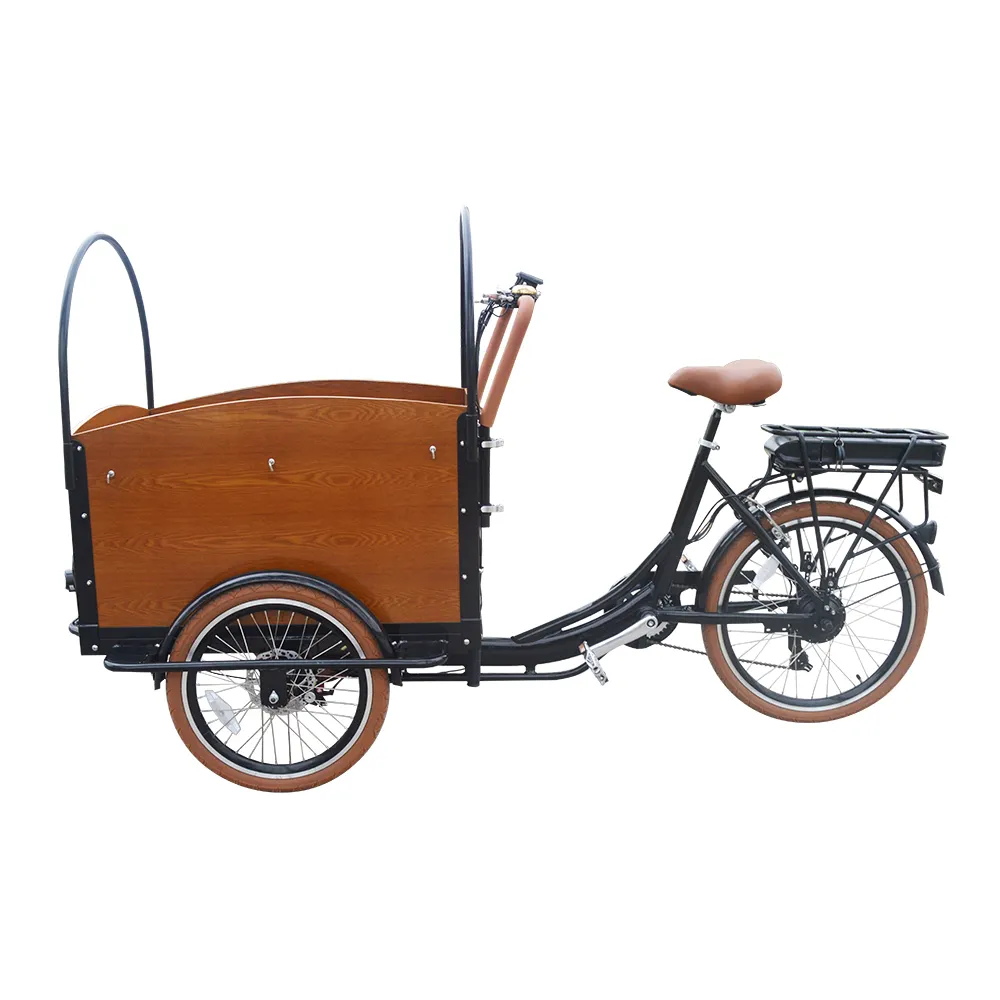 Free Shipping No Taxes in America Market Bakfiets Style Family Shopping Electric Three Wheel Cargo Bike