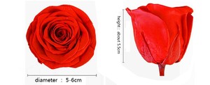 Nouvelles idées de produits <span class=keywords><strong>2022</strong></span> pour petite amie : Têtes de roses éternelles préservées de 5-6 cm - Décoration pour la Fête <span class=keywords><strong>des</strong></span> Mères et la Saint-Valentin - Prix d'usine - Product Image 4