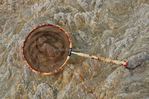 Long manche <span class=keywords><strong>carpe</strong></span> bambou Tenkara pêche épuisette - Product Image 6