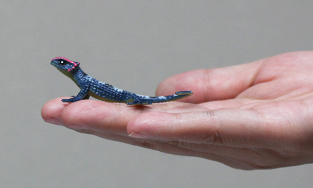 Ebay売れ筋自動販売機カプセル包装ギフトミニプラスチックトカゲの