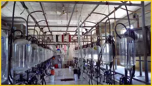 KLN brand 9JY type Herringbone Milking Parlour & Parlor