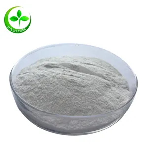 Manufacturer supply high quality konjac glucomannan 95% powder