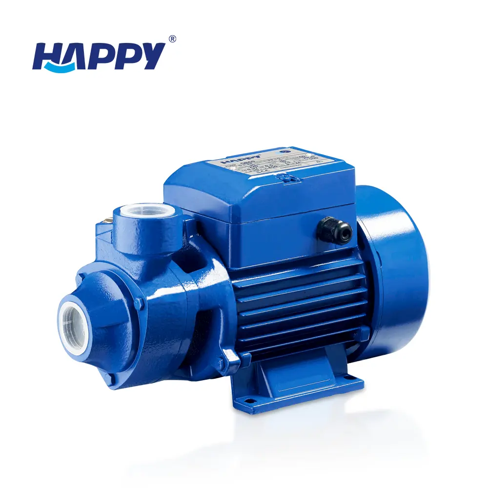Best price electric 1 inch qb60 0.5hp 0.75 hp vortex water pressure peripheral pump