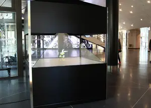 3d Holographic Display 4 Sides 3D Holographic Display Advertising Player