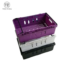 Tags: Cá Trang Trại | Cá Trang Trại | Cá Trang Trại | Cá Trang Trại - Product Image 5