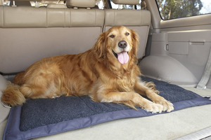 De Viaje de alta calidad cama para perro con impermeable y antideslizante tela en la parte inferior portátil de perro y lavable a máquina - Product Image 3