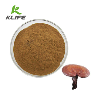 Pura esencia ganoderma lucidum pintura en polvo de esporas de hongo reishi concha rota lingzhi extracto polisacárido - Product Image 1