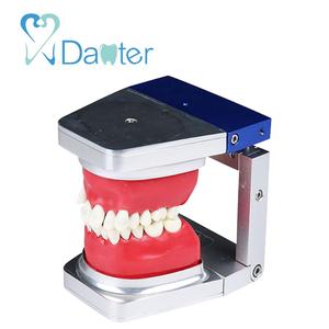 Modello di studio dentale a basso prezzo modello di pratica Typodont in resina professionale modello anatomico dentale per uso universitario in clinica ospedaliera - Product Image 2