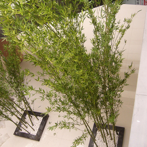 Lifelike <strong>Artificial</strong> <strong>Bamboo</strong> <strong>Plants</strong> for Indoor Decoration - Product Image 4