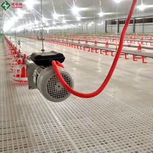 青島養鶏場メーカー養鶏場ファンと冷却システムを備えた養鶏鶏 - Product Image 6