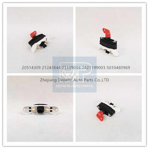 20514309 21243844 21199003 7421199003 Depehr European Electrical  