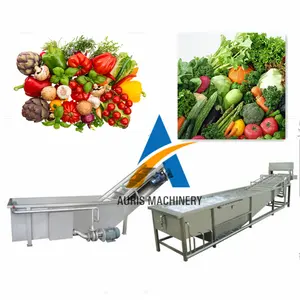 Bubble type Vegetable/Jujube/Tomato/Blackberry/Strawberry Washing/Cleaning Machine