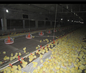 Estructura de acero arrojar avicultura equipos agrícolas - Product Image 6