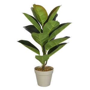 50 centimetri di Quercia Artificiale Albero Albero della Gomma Ficus Nuova Tendenza di Piante Artificiali Per La Decorazione Domestica