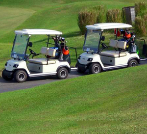 En gros 2 Places Batterie de Golf De Voiture De Club de Buggy - Product Image 2