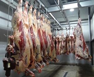 Sistema de Rieles para Carne de Carnicería, <span class=keywords><strong>Metzger</strong></span> Fleisch Schienen Haken - Product Image 1
