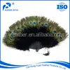 Chất Lượng cao Loại Cò Lớn Ở Phi Đà Điểu Peacock Cắt Màu 10-126 Inch 24-26 Inch Customized Feather Fan