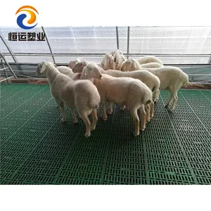 Factory direct price farm equipment goat poultry Virgin PP pig plastic slat flooring for sale