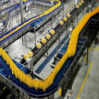 Machine pour fabriquer des nouilles instantanées, appareil ménager de petite capacité, à prix bas