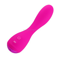 Perfekter G-Punkt-Vibrator aus Silikon und ABS, Wasserdicht, 10 Funktionen, Flexibler Persönlicher Massager für Frauen