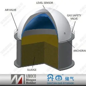 2015 China Anaërobe Spijsvertering Biogas Power Plant Bio Gas Vergister