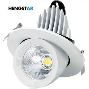 110V 220V תא מטען אור 40W 60W Gimbal LED Downlight