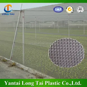Prezzo di fabbrica 40 mesh 50 mesh serra agricola HDPE pianta insect net, UV trattati insetto maglia dello schermo