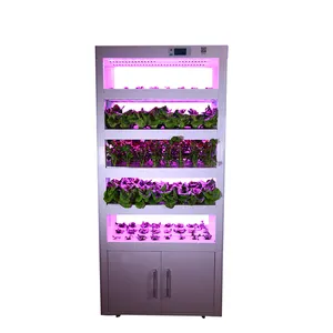 Dismountable Indoor Hydroponic Greenhouse System Intelligent Led Plant Quick Grow Cabinet & Box