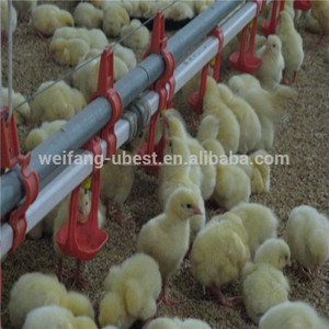 Sol alimentation des volailles équipement pour aire d'alimentation de poulet de poulet de chair ferme - Product Image 5