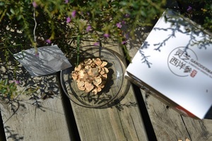 Muestra libre <span class=keywords><strong>ginseng</strong></span> instantánea té de hierbas con Lingzhi hongo reishi Ganoderma lucidum - Product Image 3