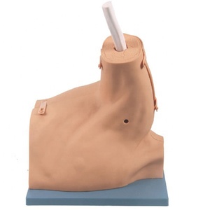 Mô Hình Khớp Vai Người Mô Hình Nội Soi Khớp Vai Mô Hình Tiêm Vai - Product Image 1