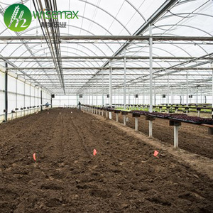 Grande serre à melon à tunnel multi-travée à cadre galvanisé préfabriqué monocouche avec couvercle en PE - Product Image 1