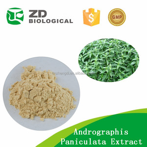 La oferta de China Andrographis <span class=keywords><strong>Paniculata</strong></span> en polvo 98% - Product Image 1