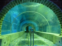 En fonte épaisse acrylique feuilles de plexiglas pour tunnel