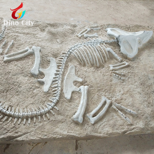 Excavation Artificial Real Dinosaur Fossil Mold for Sale