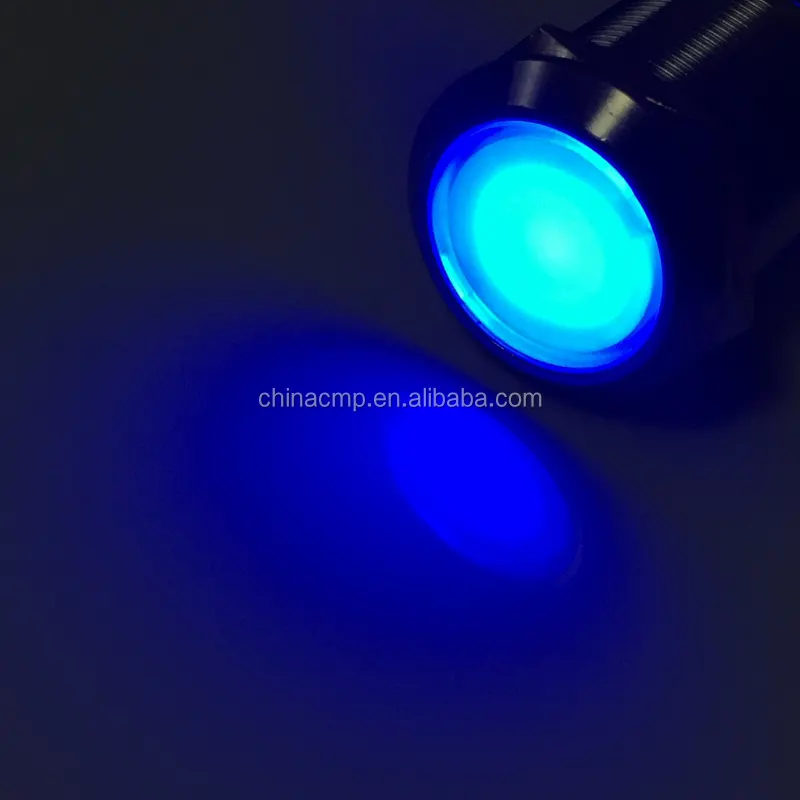 12v 24v 220v blauw eagle eye ring verlicht led zacht licht auto automotive drukknop schakelaar