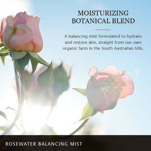 Private Label Organic Moisturizing Mist <strong>Rose</strong> Water <strong>Spray</strong> - Product Image 3