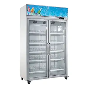 Upright cooler 2 doors soft drink showcase refrigerator fridge double door