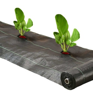 <span class=keywords><strong>Toile</strong></span> <span class=keywords><strong>de</strong></span> paillage anti-mauvaises herbes, tissu <span class=keywords><strong>de</strong></span> contrôle des adventices, couverture <span class=keywords><strong>de</strong></span> <span class=keywords><strong>sol</strong></span> anti-herbe, tapis barrière anti-plantules - Product Image 3