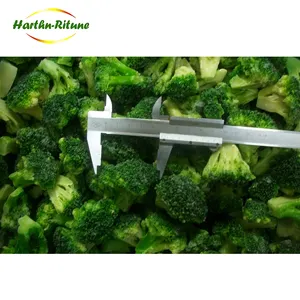 Salute nutrizione vegetale salute congelato broccoli