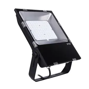 100w Ip66 220v Wide Angle Outdoor Focus Reflector Flood Light Led Floodlight With Ies File