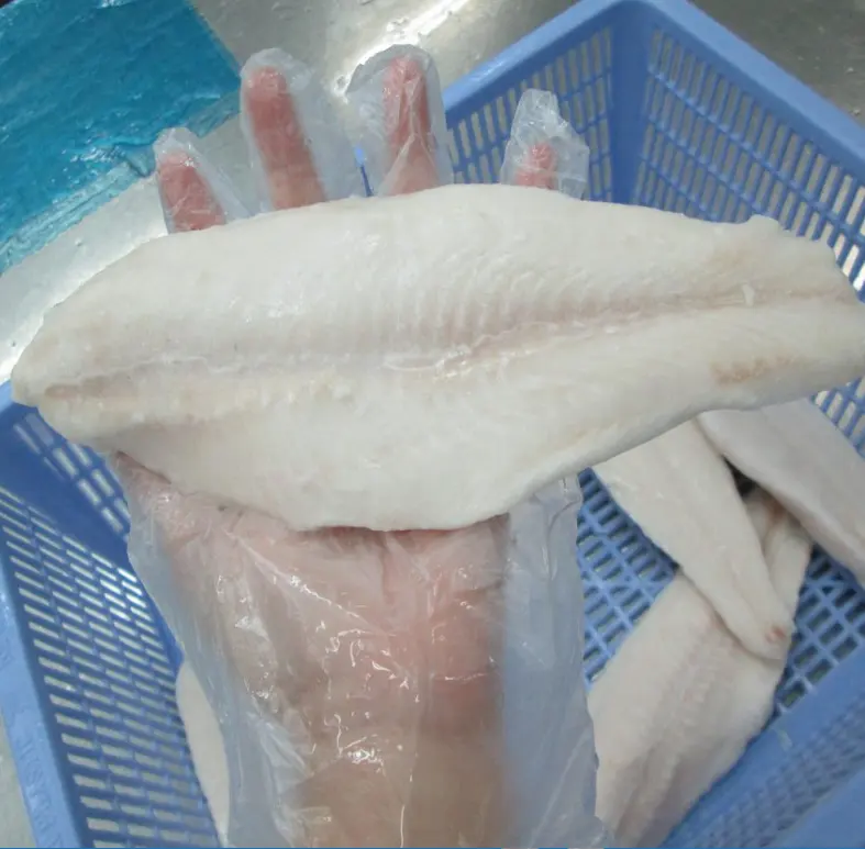 Fillet Pangpembenah Beku Berkualitas Tinggi Dalam Ikan Basa