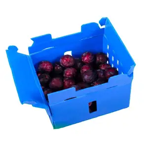 Caja de plástico corrugado para embalaje de frutas y verduras