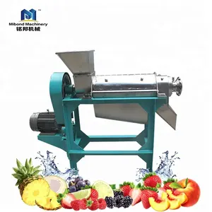 Kleine Automatische Ananas Verwerking Peeling Uitboren Sap Machine Voor Verkoop